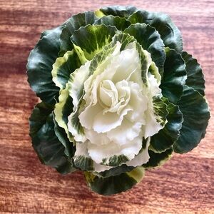 Pier 1 (4) Green and White Cabbage Napkin rings